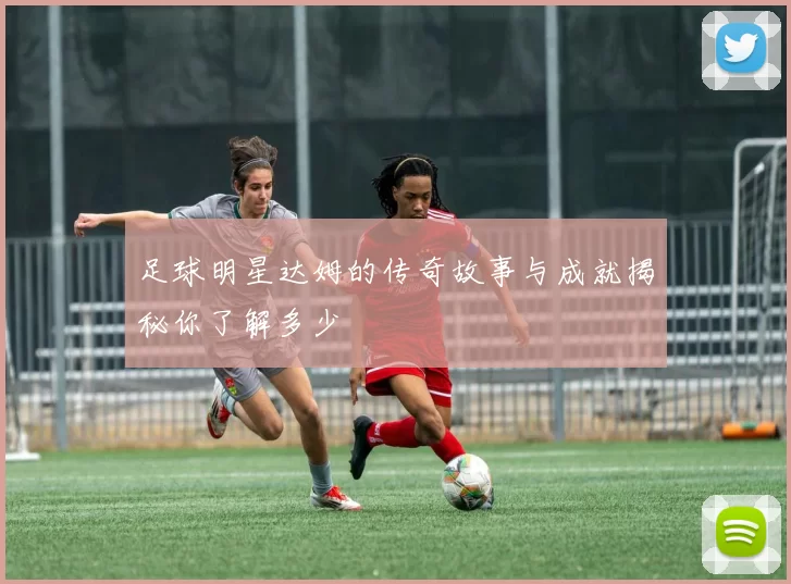 足球明星达姆的传奇故事与成就揭秘你了解多少