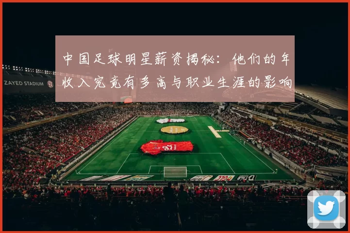 中国足球明星薪资揭秘：他们的年收入究竟有多高与职业生涯的影响