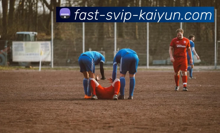 多媒体互动体验